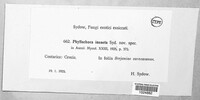Image Associated With the Occurence